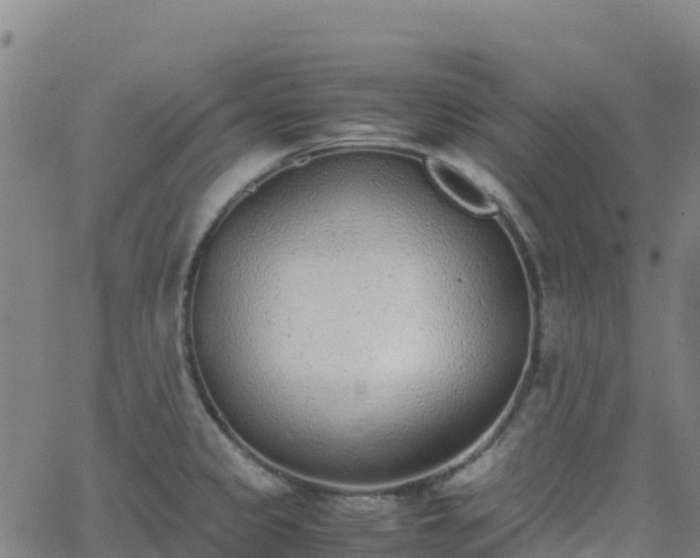 X0000062671333200512230937