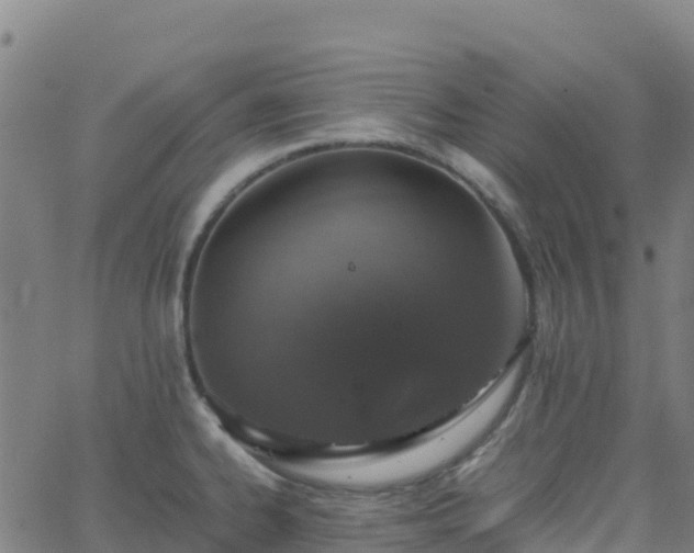 X0000062671334200512230937