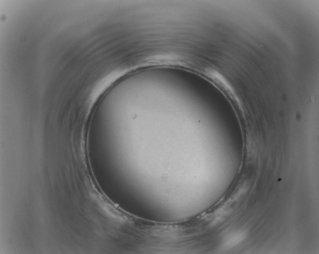 X0000062671336200512230937