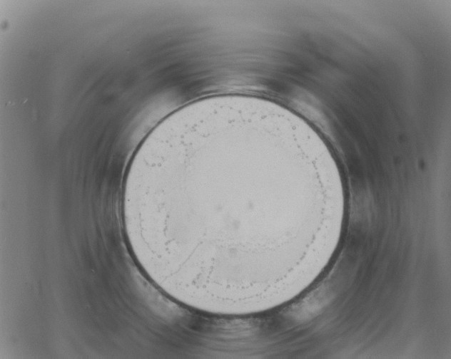 X0000062671338200512230937