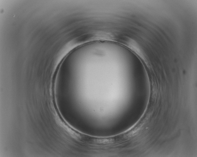 X0000062671339200512230937