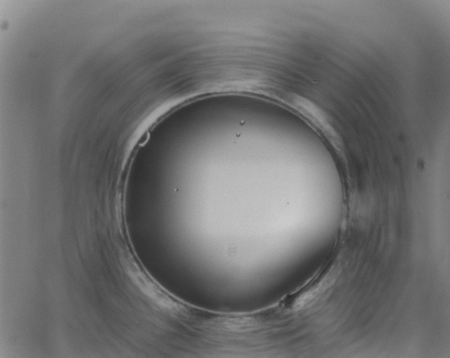 X0000062671340200512230937