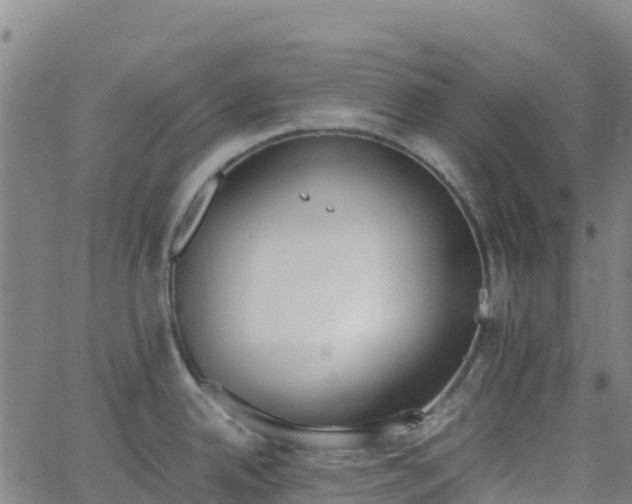 X0000062671342200512230937