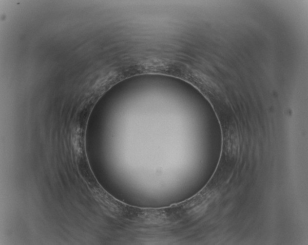 X0000062671346200512230936