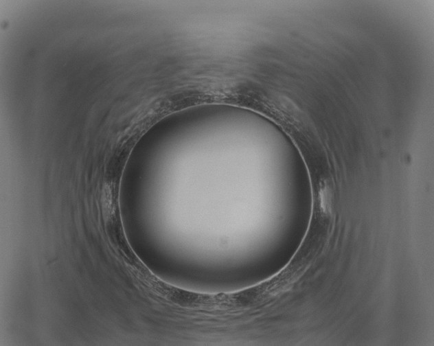 X0000062671347200512230936