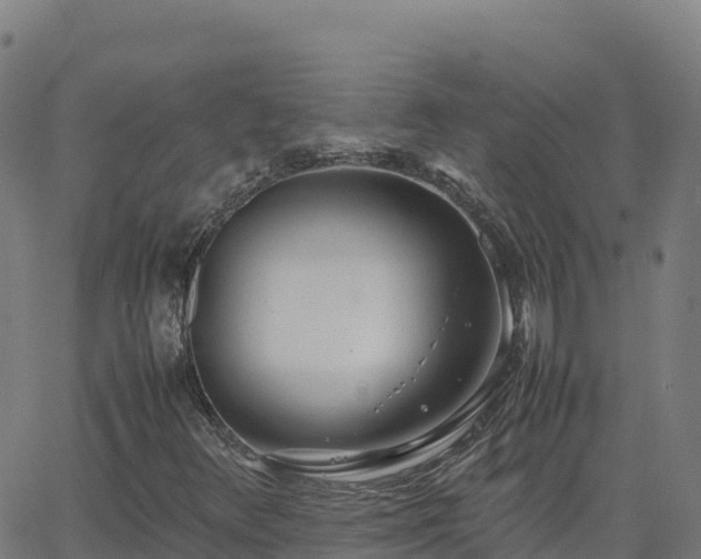 X0000062671348200512230936