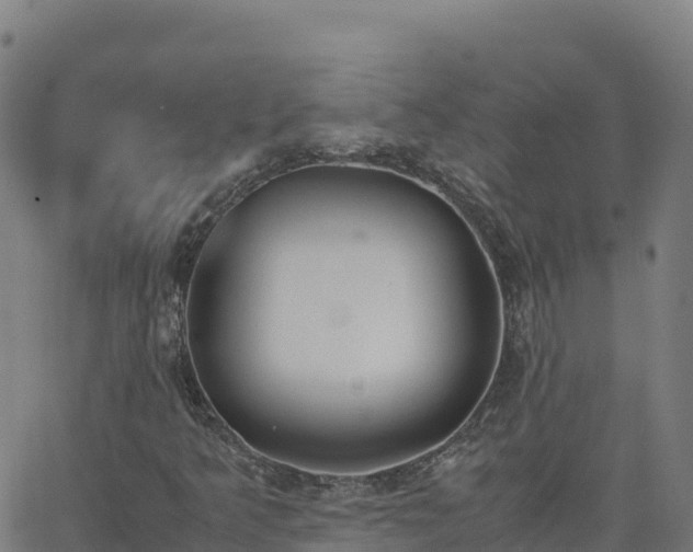 X0000062671349200512230936