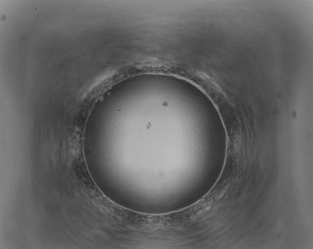 X0000062671350200512230936