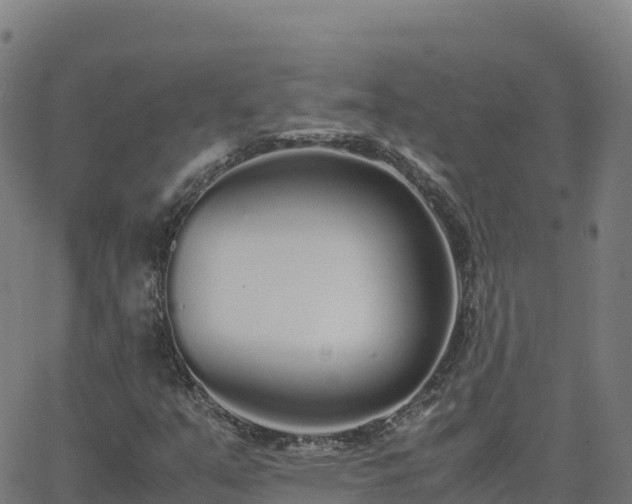 X0000062671351200512230936