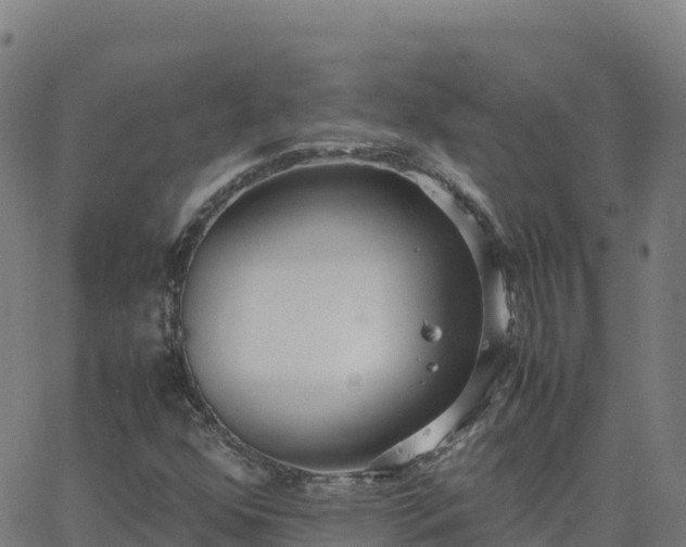 X0000062671352200512230936