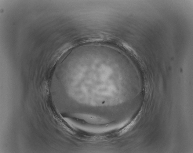 X0000062671353200512230936