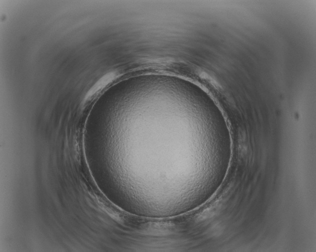 X0000062671354200512230936