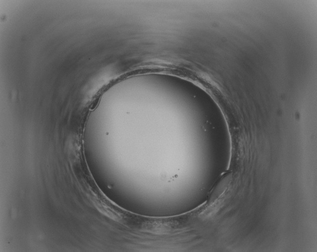 X0000062671355200512230936