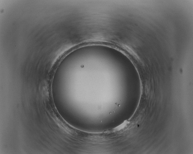 X0000062671356200512230936