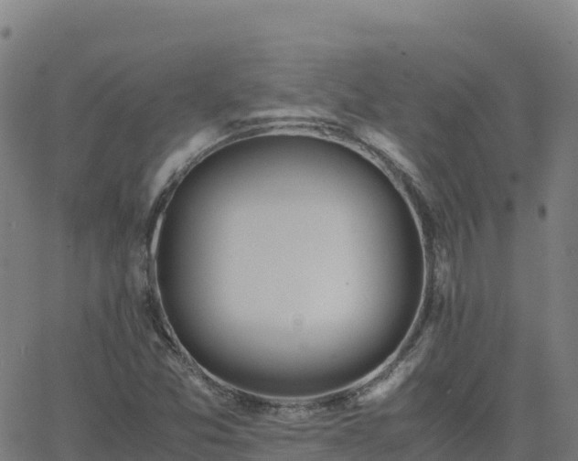 X0000062671357200512230936