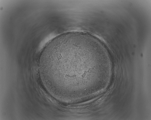 X0000062671359200512230936