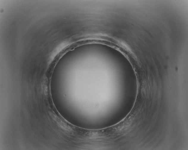 X0000062671360200512230936