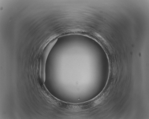 X0000062671361200512230936