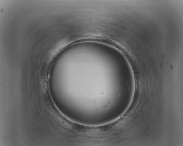 X0000062671363200512230936