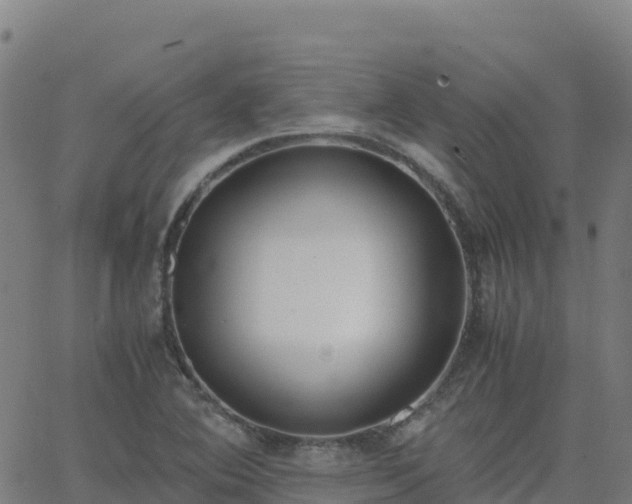 X0000062671364200512230936