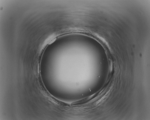 X0000062671365200512230936