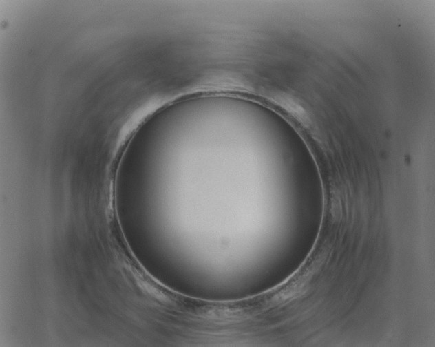 X0000062671366200512230936