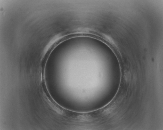 X0000062671368200512230936