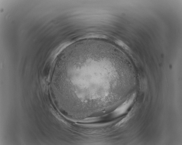 X0000062671369200512230936