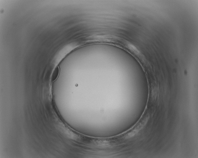 X0000062671370200512230936