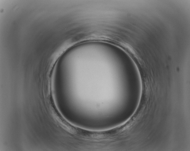 X0000062671371200512230936