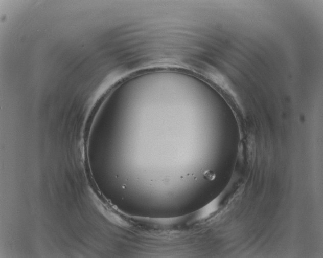 X0000062671372200512230936