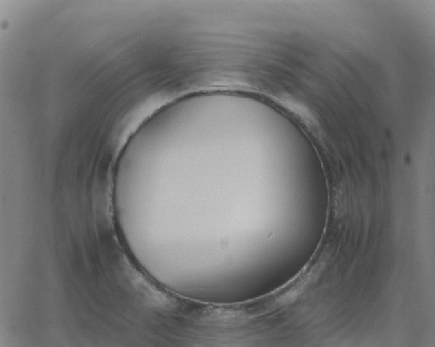 X0000062671374200512230936