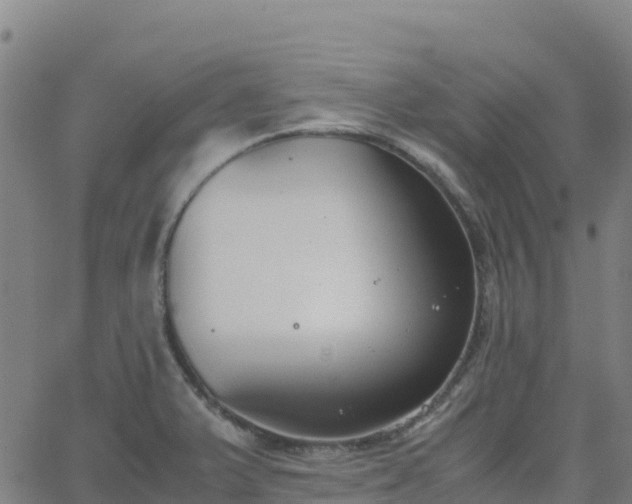 X0000062671375200512230936