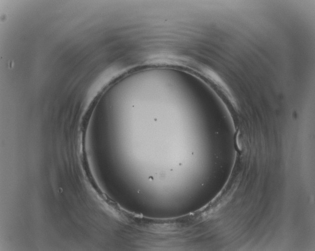 X0000062671376200512230936