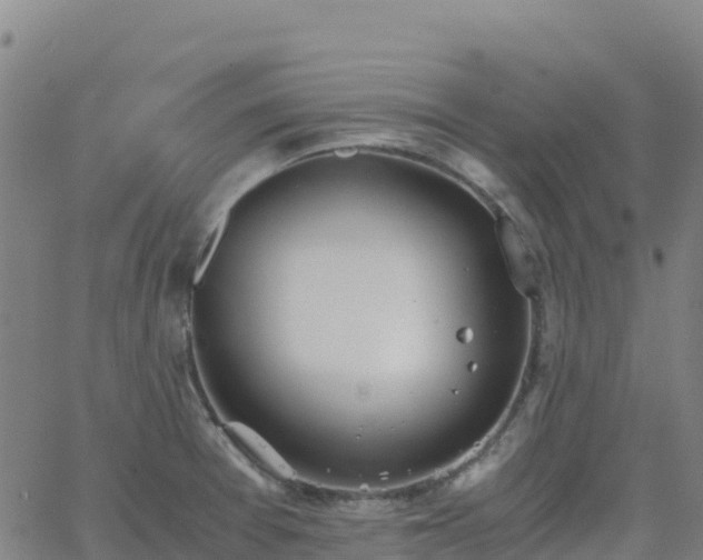 X0000062671377200512230936