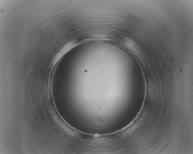 X0000062671378200512230936