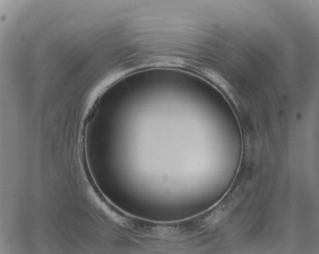 X0000062671379200512230936