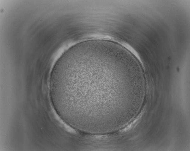 X0000062671381200512230936