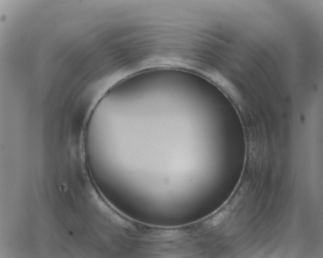 X0000062671382200512230936