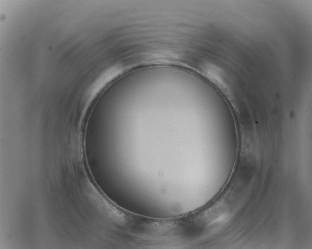 X0000062671384200512230936