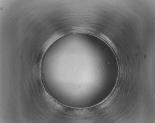 X0000062671386200512230936