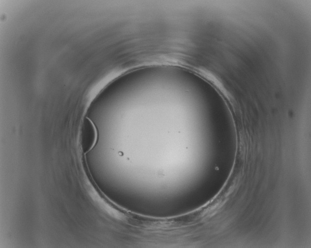 X0000062671387200512230935