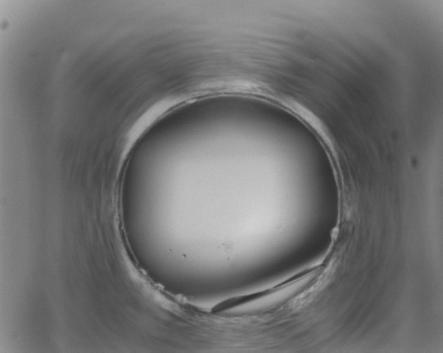 X0000062671389200512230935