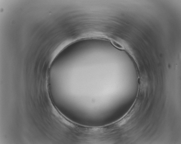 X0000062671390200512230935