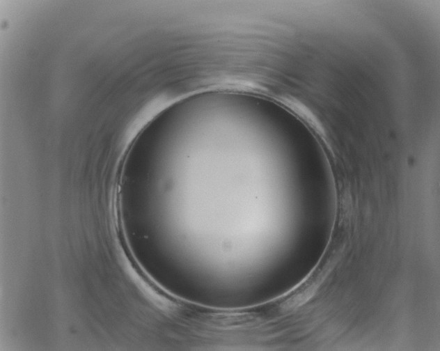 X0000062671391200512230935