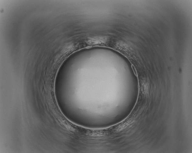 X0000062671393200512230935