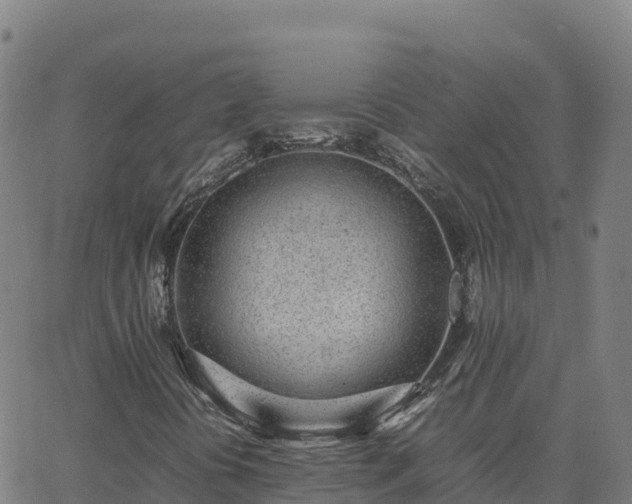 X0000062671394200512230935