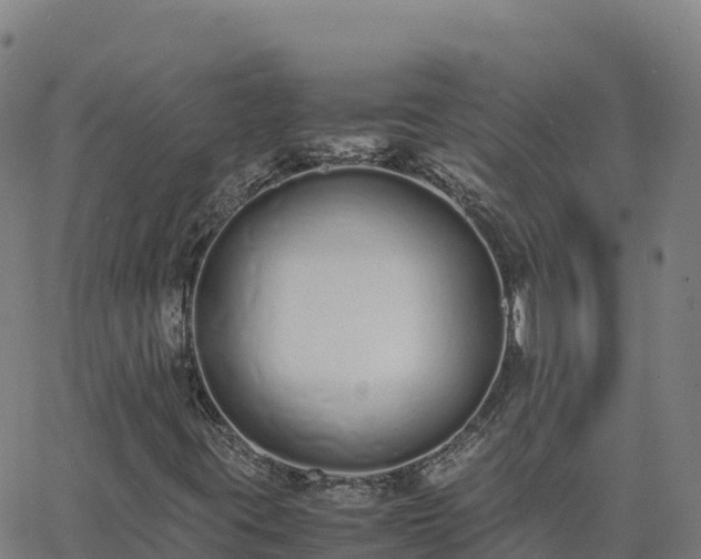 X0000062671395200512230935