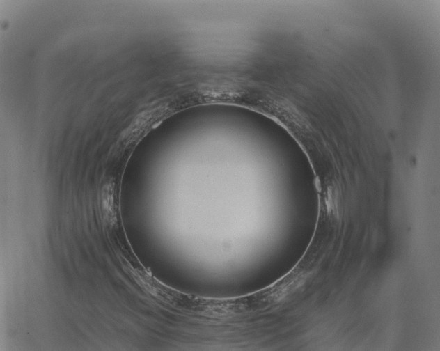 X0000062671396200512230935