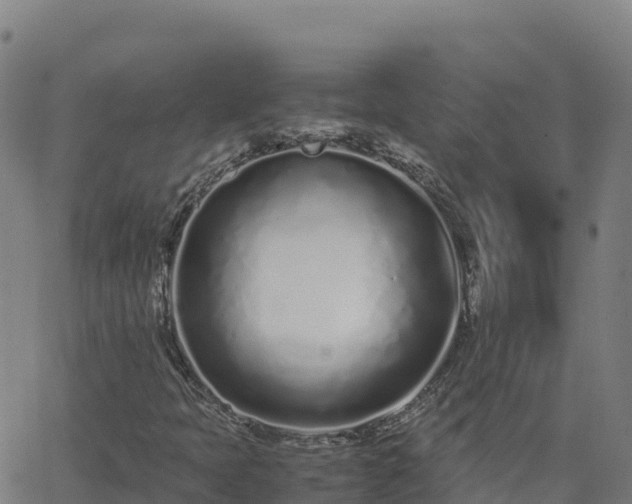 X0000062671397200512230935